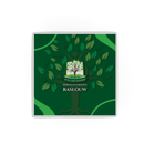 Pinnacle College RL - Stadium Cushion