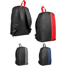 Two Toned Backpack Backpack