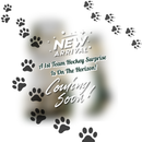 Hoërskool Leeuwenhof - 1st Team Girls Hockey Combo