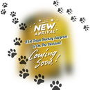 Hoërskool Leeuwenhof - 1st Team Hockey Goalie Smock