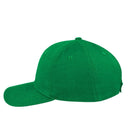 Rivonia - Green House Cap