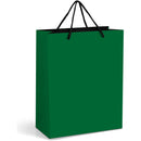 Midi Bright Coloured Paper Gift Bag