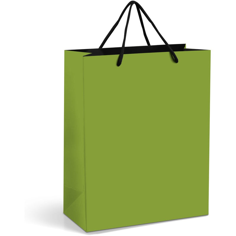 Midi Bright Coloured Paper Gift Bag