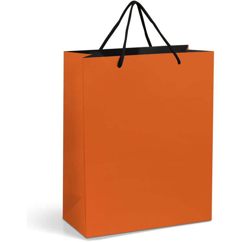 Midi Bright Coloured Paper Gift Bag