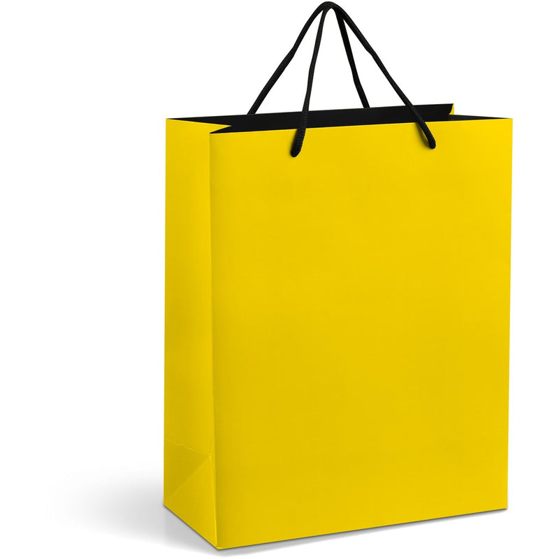 Midi Bright Coloured Paper Gift Bag