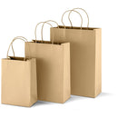 Maxi Paper Gift Bag
