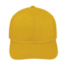 Rivonia - Yellow House Cap